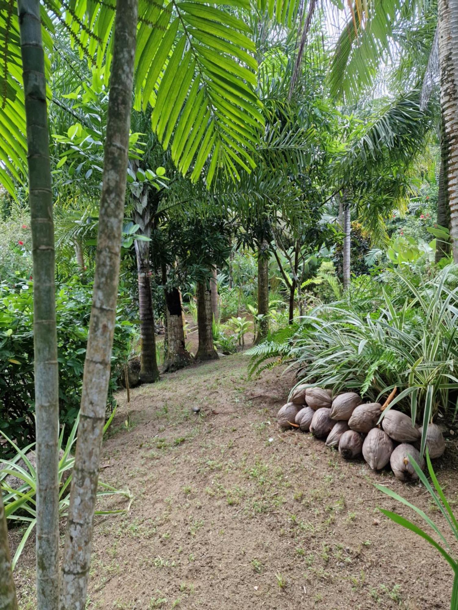 A Peace In Paradise آنس رويال المظهر الخارجي الصورة